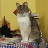 Отзыв от Анжелика Калинина
